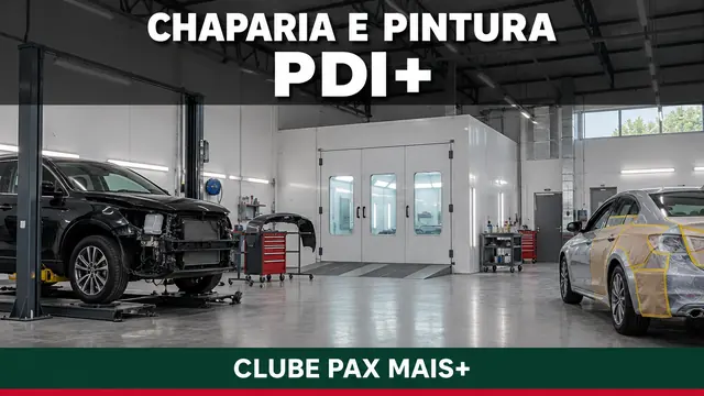 CHAPARIA E PINTURA